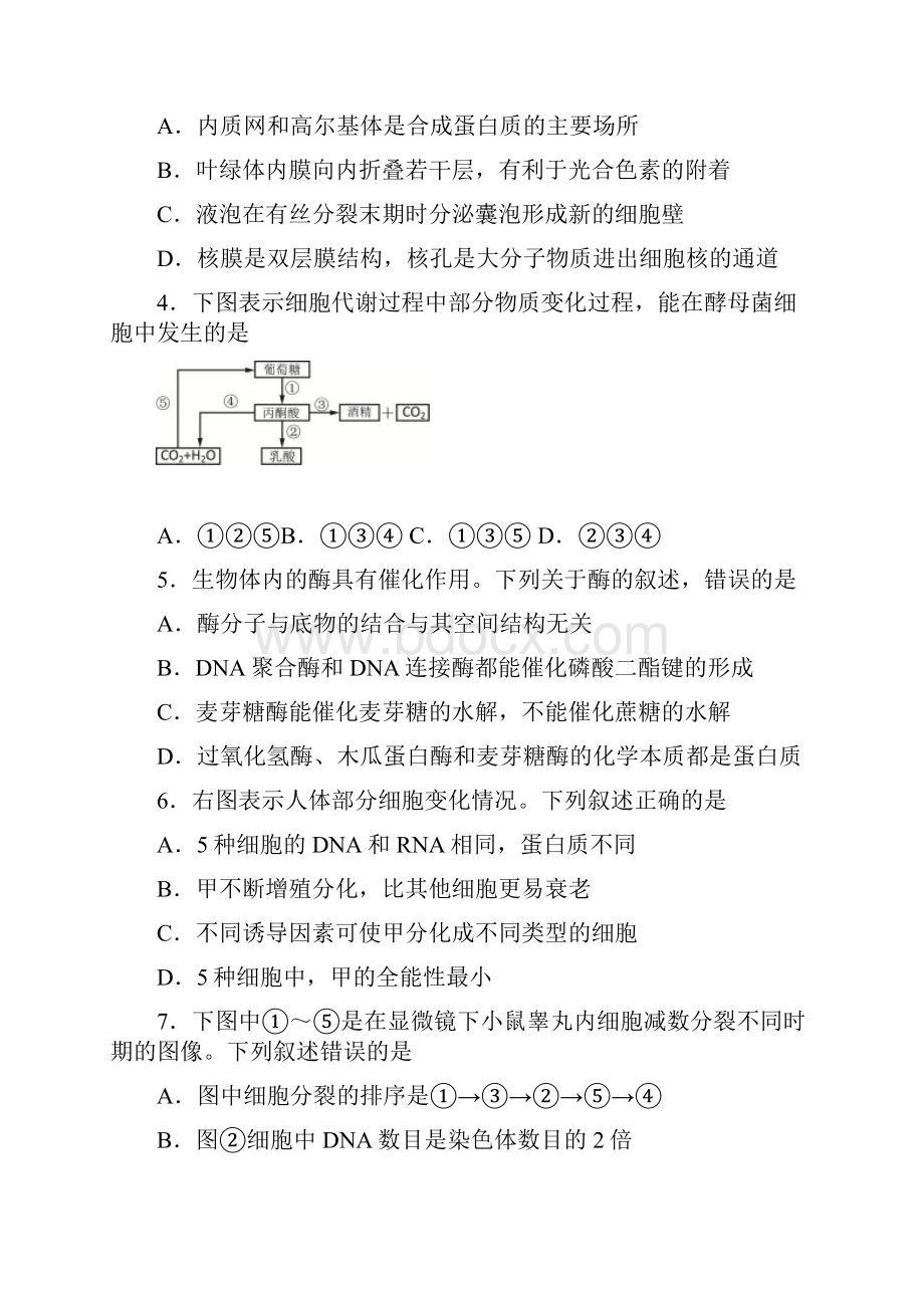 北京市石景山区届高三生物下学期统一练习一模试题.docx_第2页