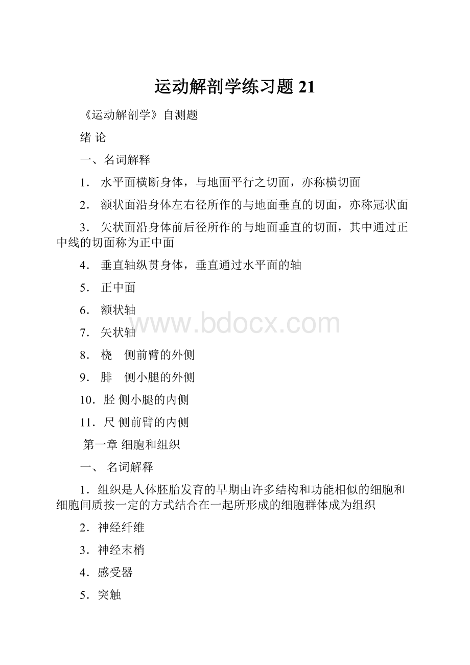 运动解剖学练习题21.docx