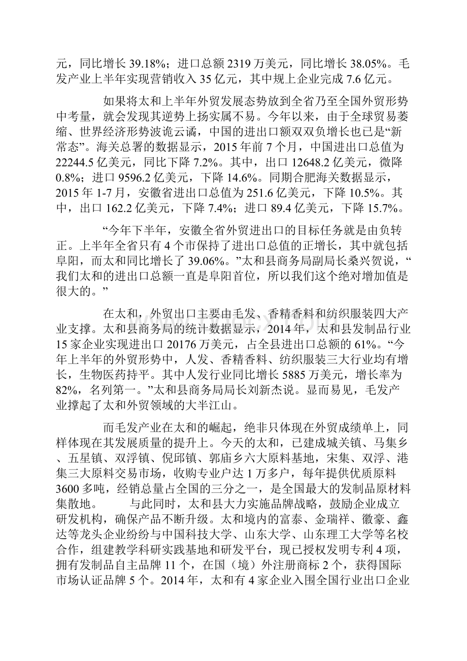 毛发产业崛起的太和模式.docx_第3页