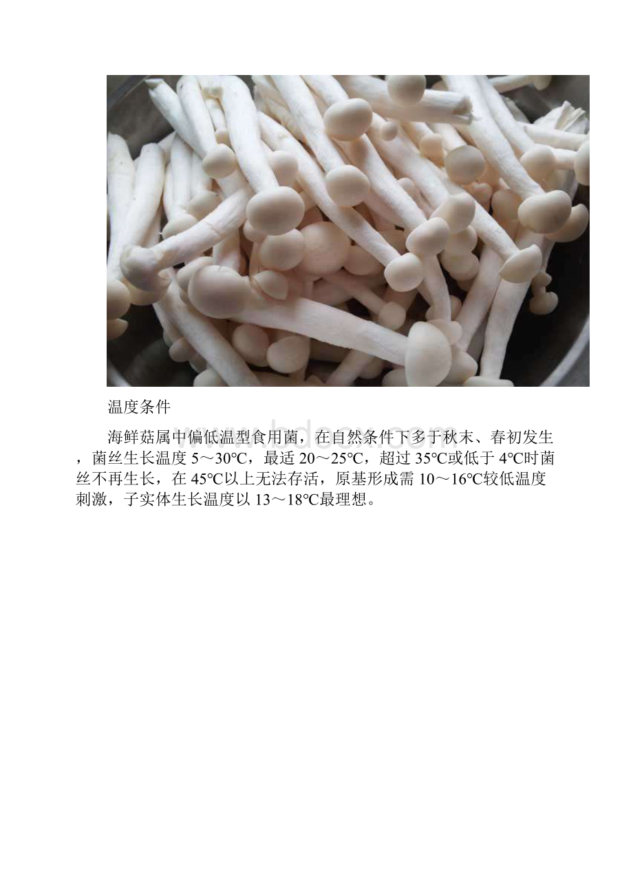 海鲜菇栽培技术.docx_第2页