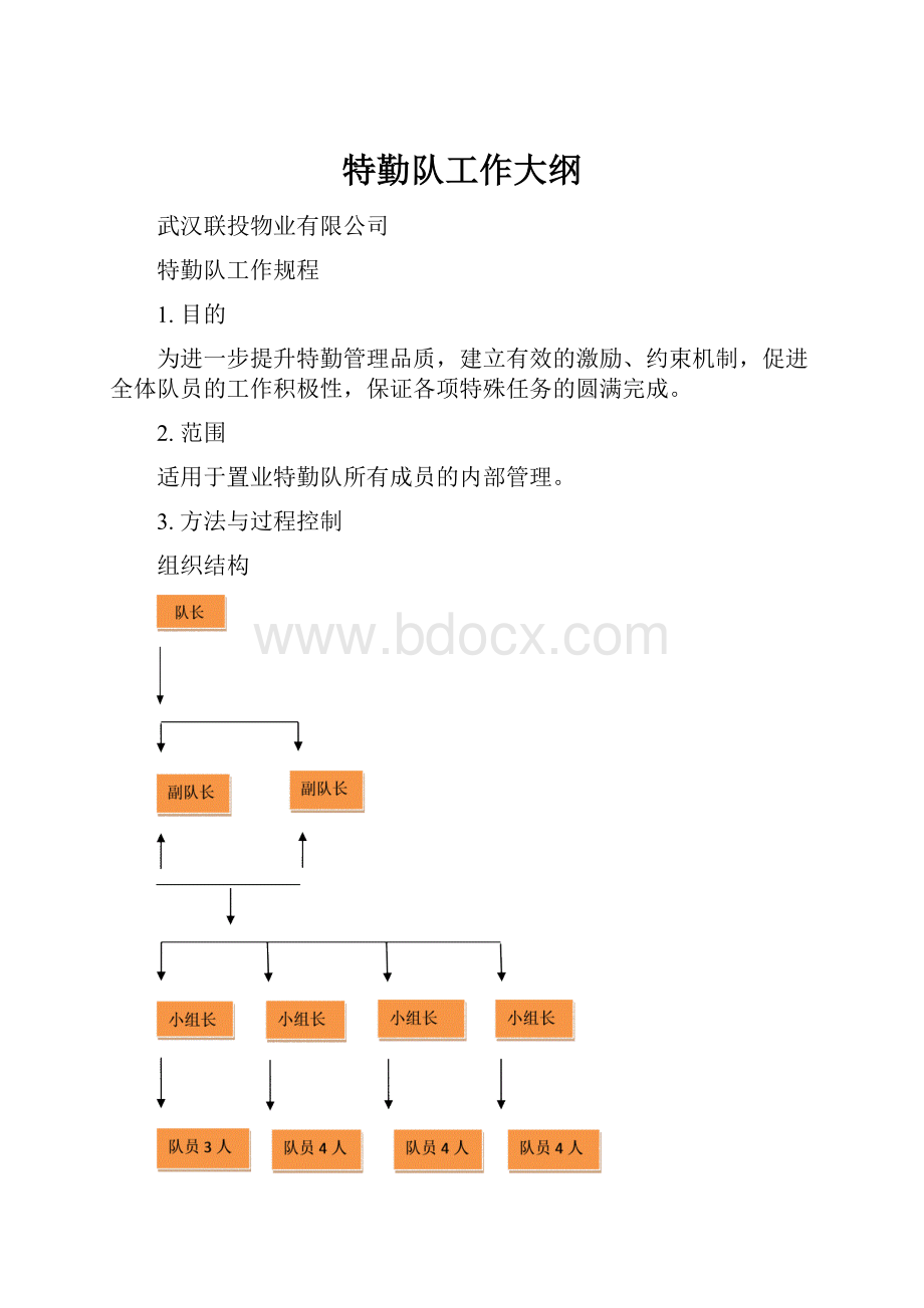 特勤队工作大纲.docx_第1页