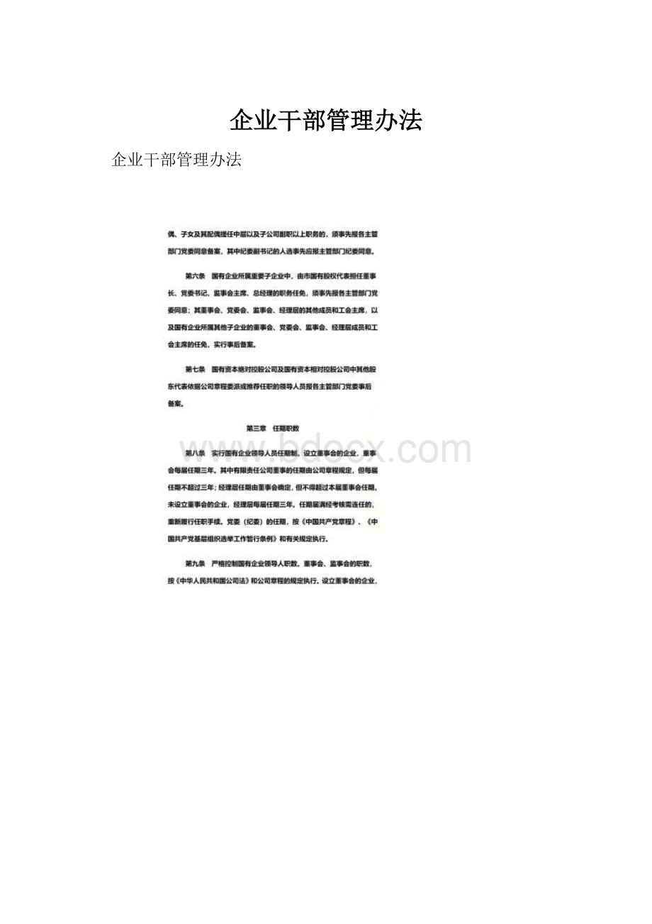 企业干部管理办法.docx_第1页