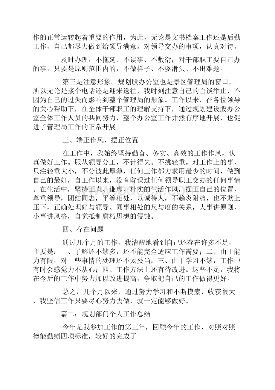 规划办个人工作总结.docx_第2页