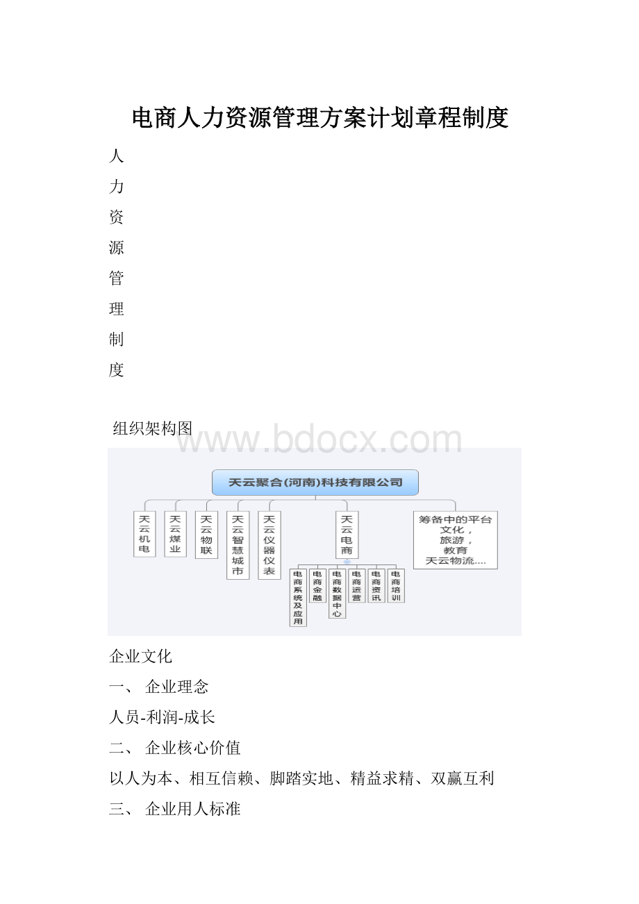 电商人力资源管理方案计划章程制度.docx