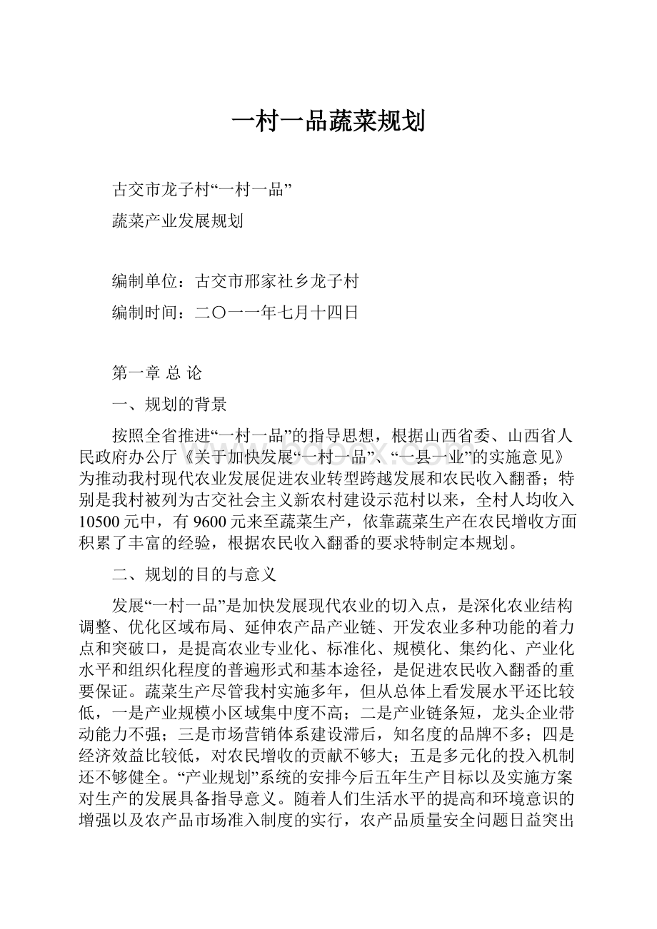 一村一品蔬菜规划Word文档下载推荐.docx