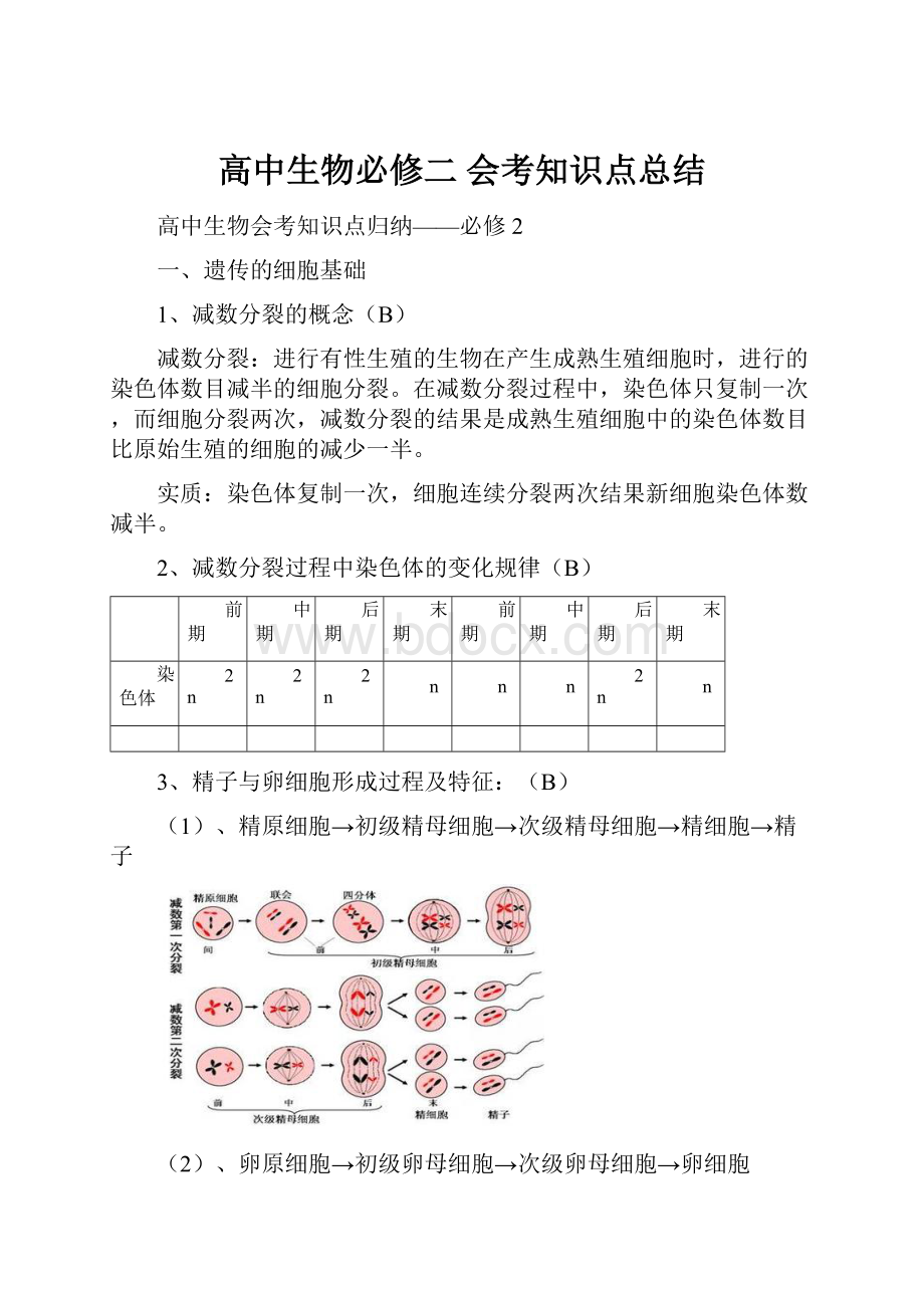 高中生物必修二 会考知识点总结.docx