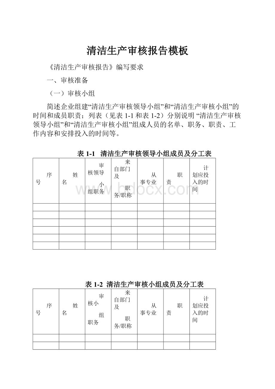 清洁生产审核报告模板.docx