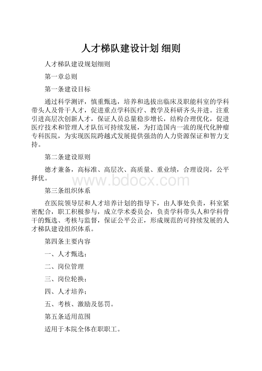 人才梯队建设计划 细则.docx_第1页