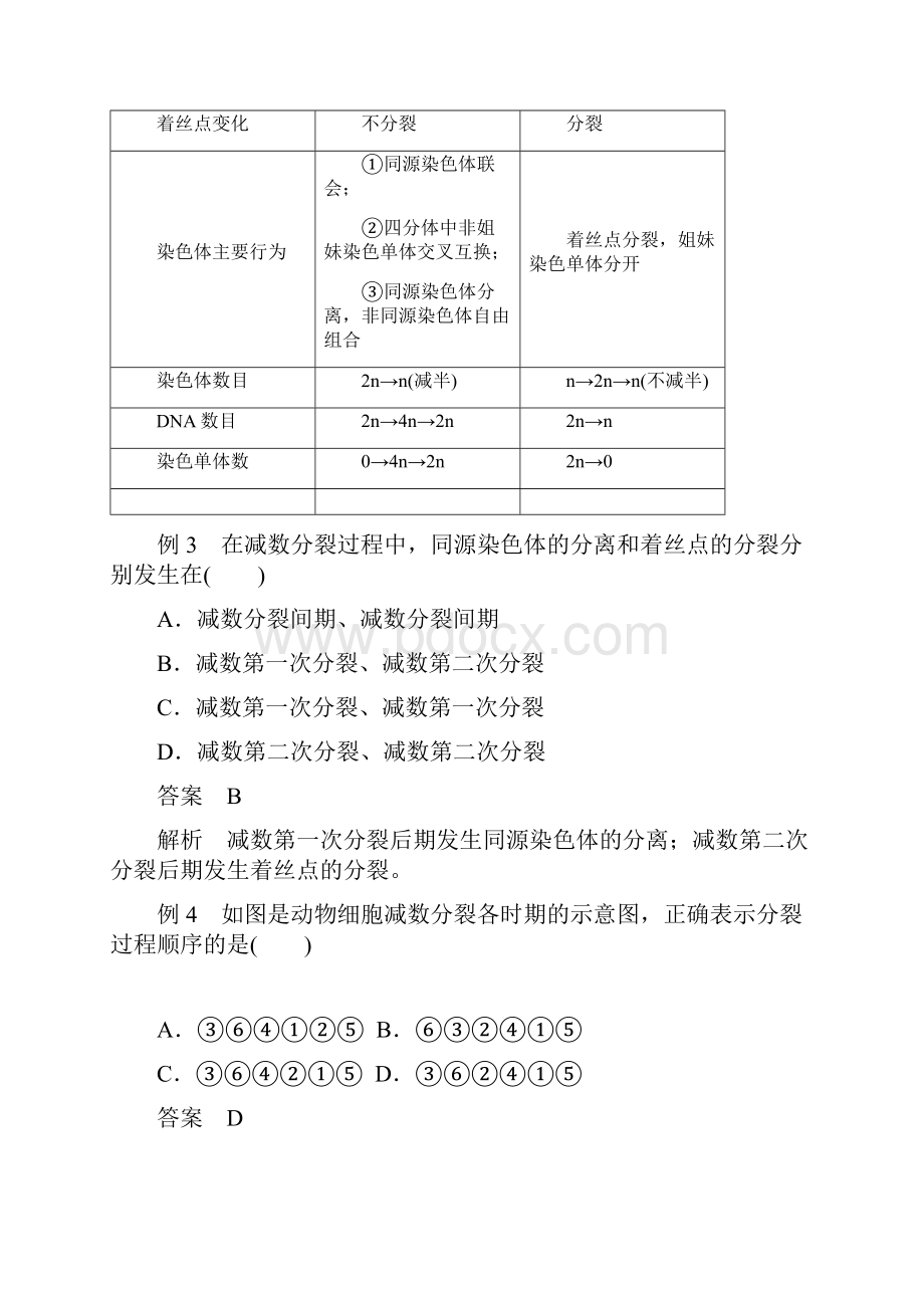 221第1课时减数分裂的概念精子的形成过程教案1.docx_第3页