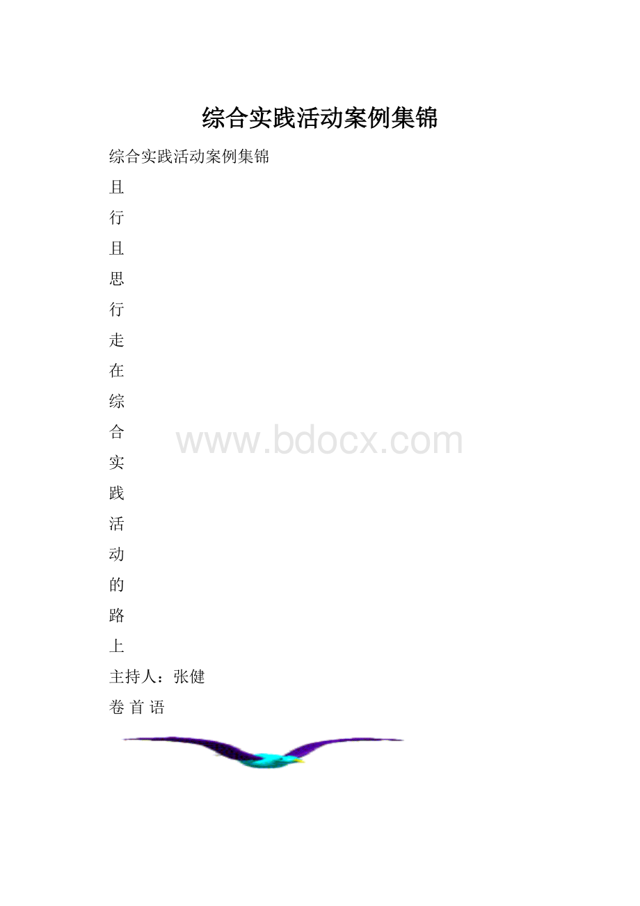 综合实践活动案例集锦Word格式文档下载.docx