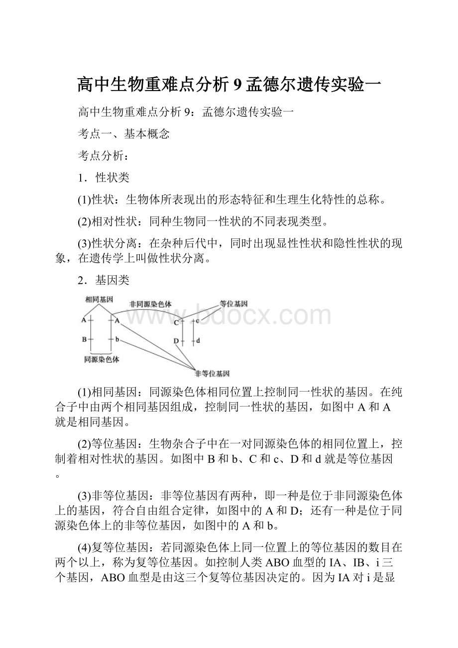 高中生物重难点分析9孟德尔遗传实验一Word格式.docx