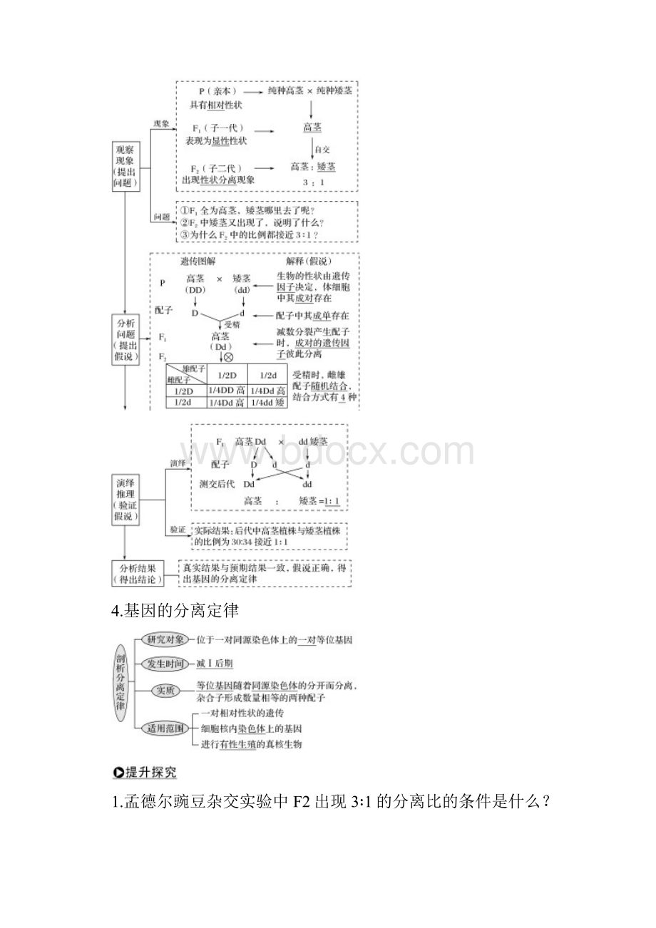 江苏专用版高考生物大一轮复习第5单元遗传的基础规律第14讲基因的分离定律学案.docx_第2页