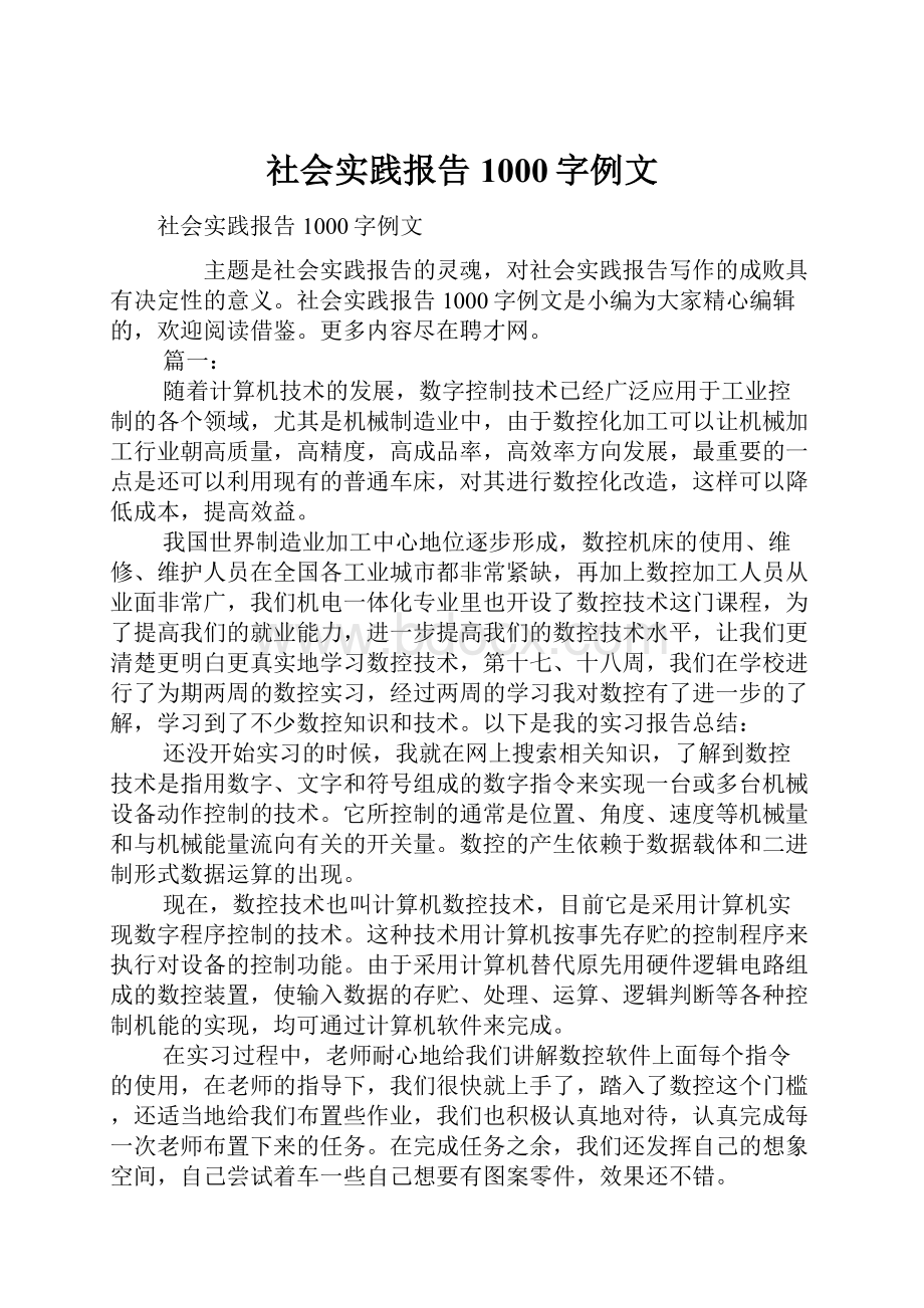 社会实践报告1000字例文.docx