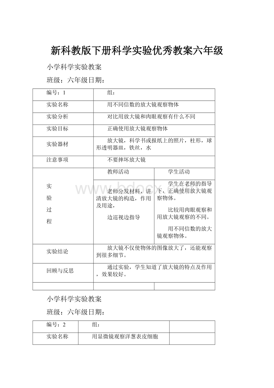 新科教版下册科学实验优秀教案六年级.docx