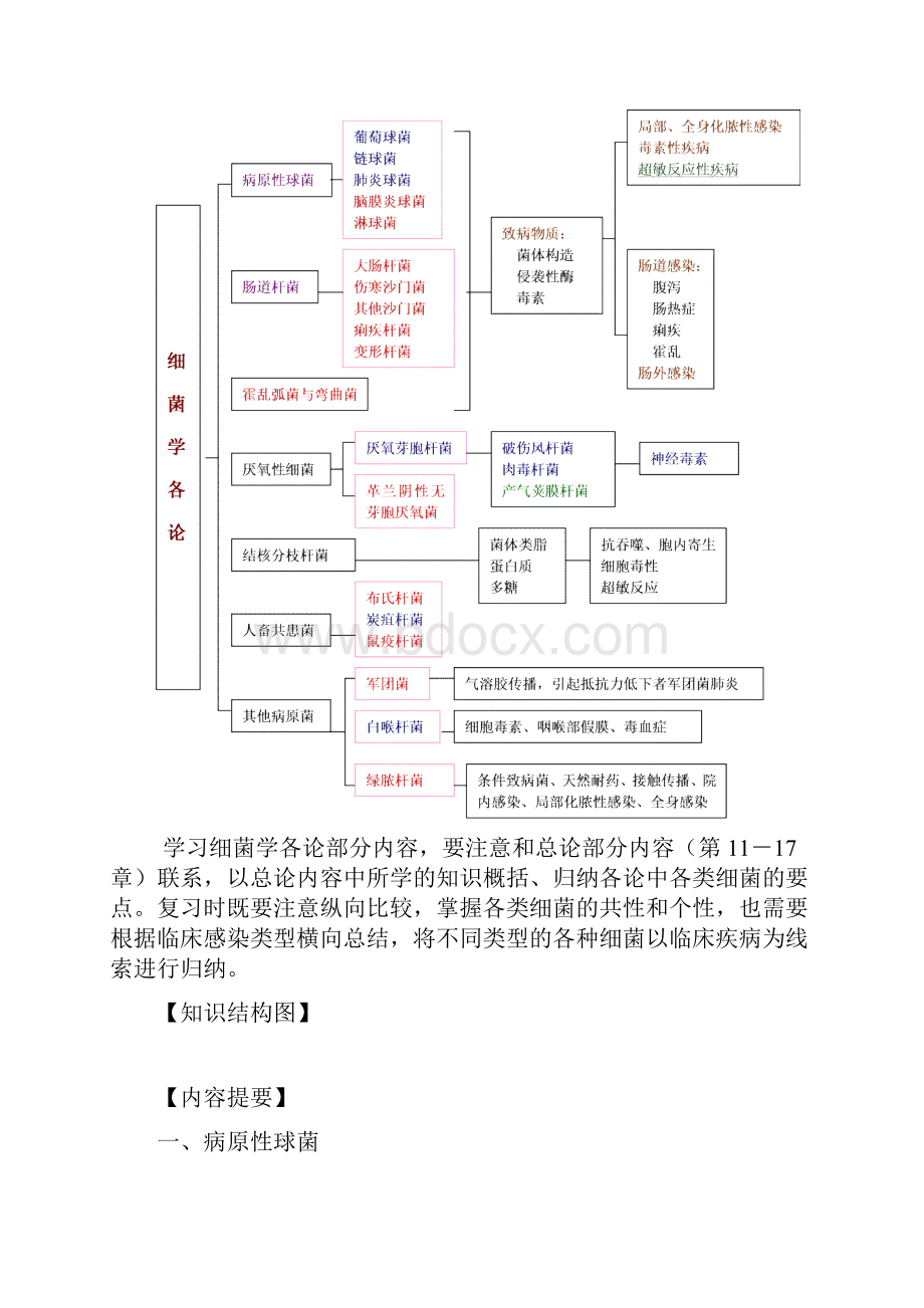 医学微生物学细菌各论与病毒总论教案.docx_第2页