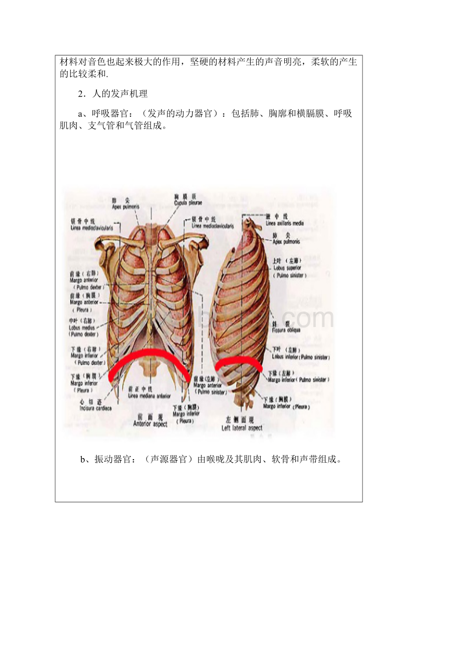 声音解剖图Word文档格式.docx_第2页