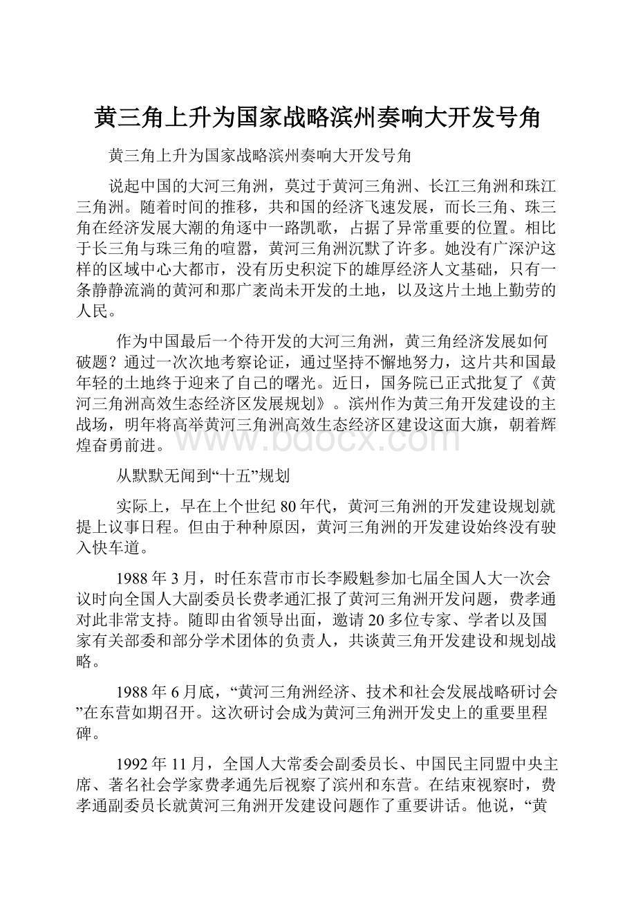 黄三角上升为国家战略滨州奏响大开发号角文档格式.docx