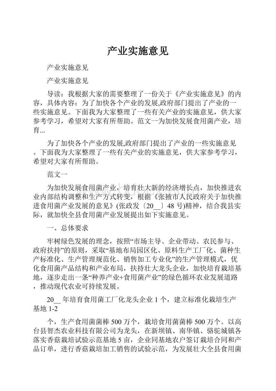 产业实施意见.docx