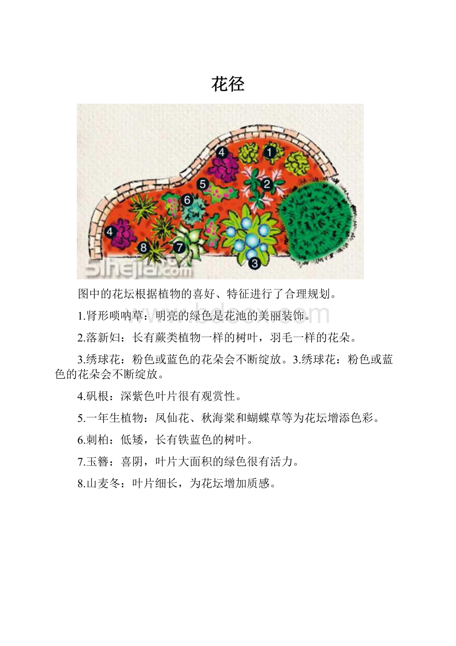 花径.docx_第1页