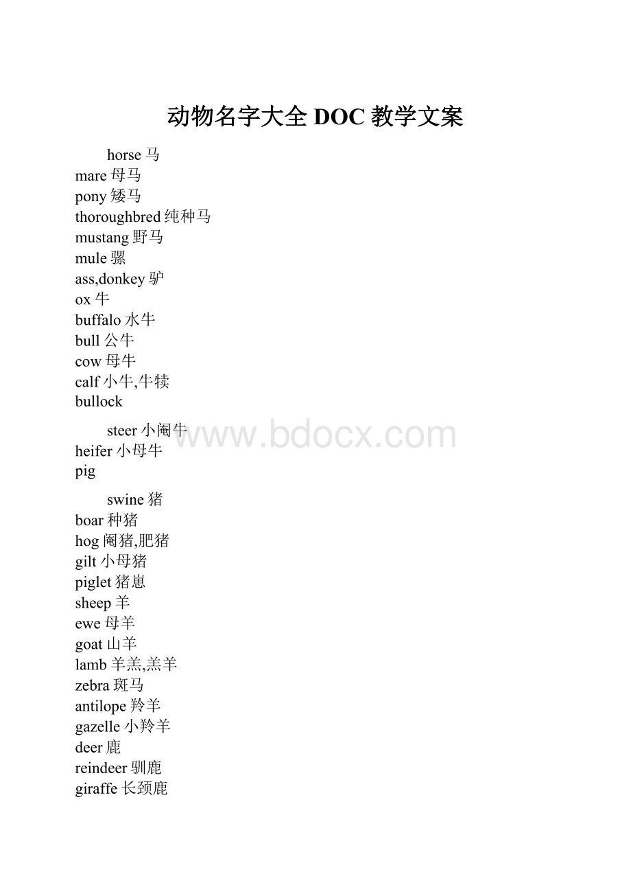 动物名字大全DOC教学文案.docx