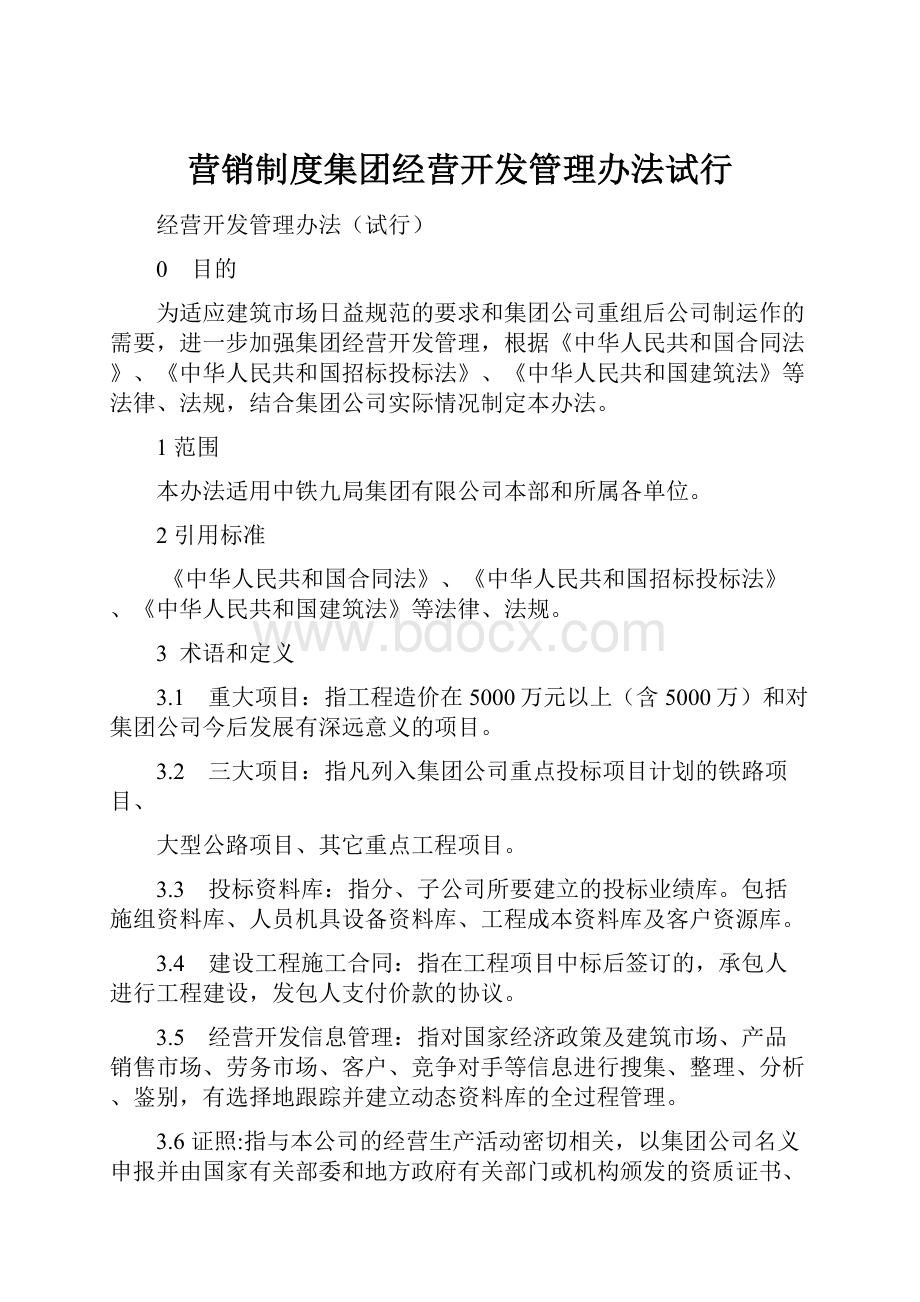 营销制度集团经营开发管理办法试行Word文档格式.docx