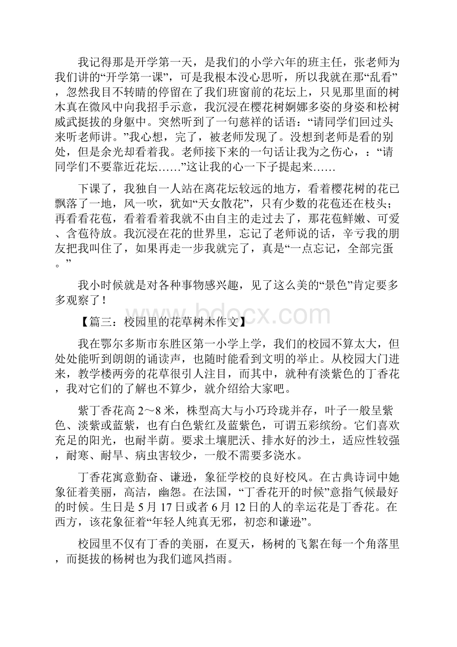 校园的树木作文三年级Word下载.docx_第2页