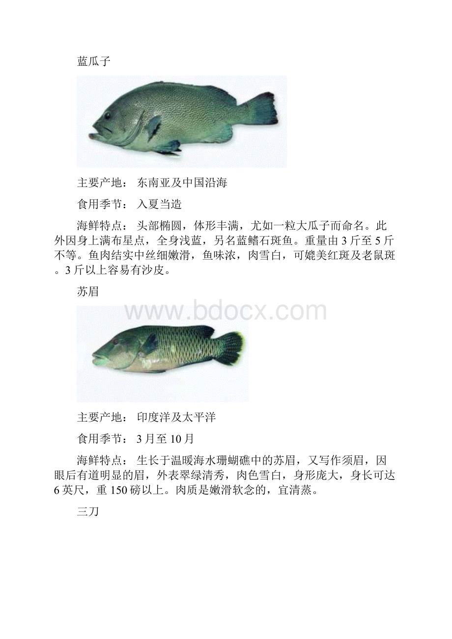 常见海鲜海鱼欣赏.docx_第2页