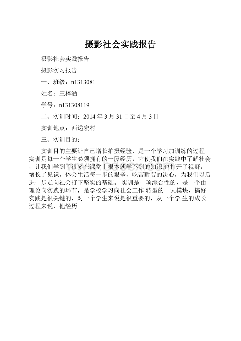 摄影社会实践报告Word格式.docx