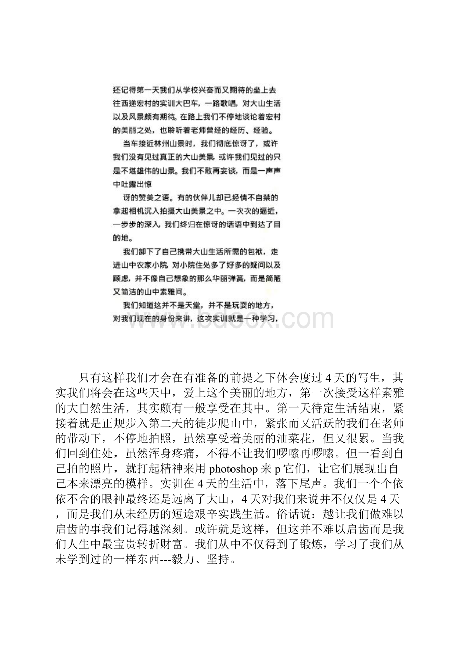 摄影社会实践报告Word格式.docx_第3页