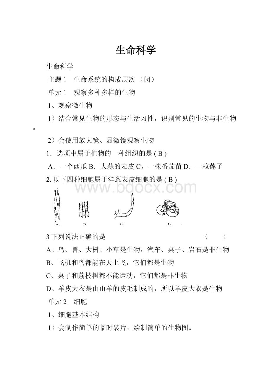 生命科学.docx