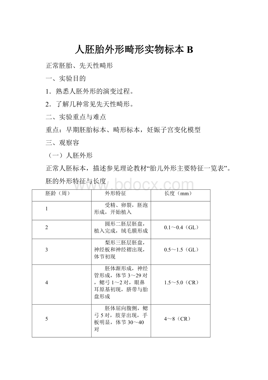 人胚胎外形畸形实物标本B.docx_第1页