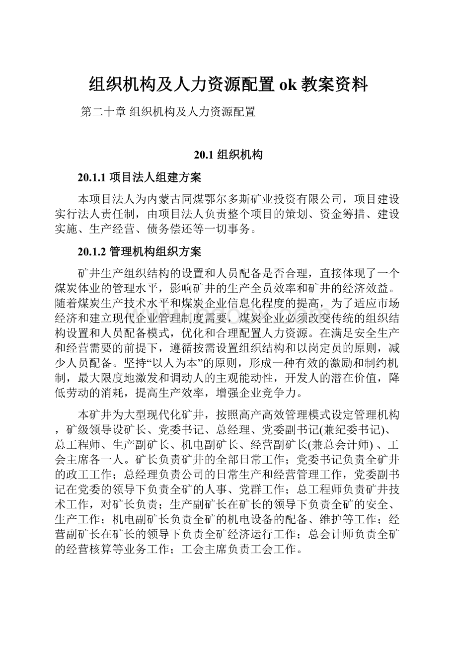 组织机构及人力资源配置ok教案资料.docx