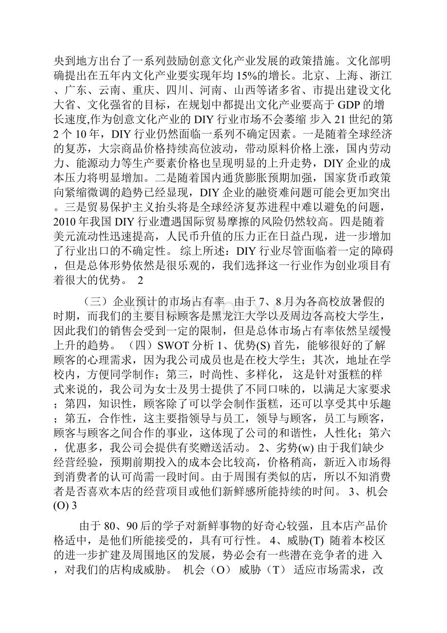 DIY商业计划书.docx_第3页