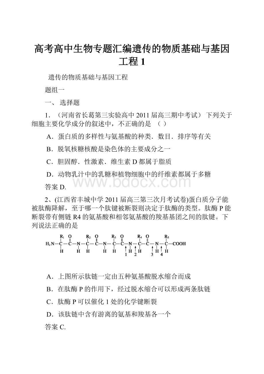 高考高中生物专题汇编遗传的物质基础与基因工程1Word文档下载推荐.docx