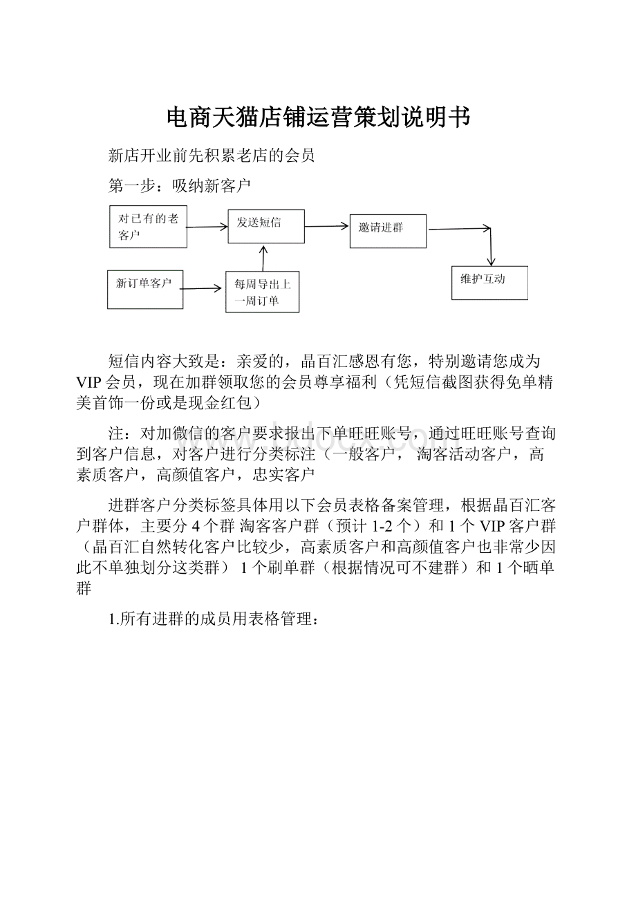 电商天猫店铺运营策划说明书.docx