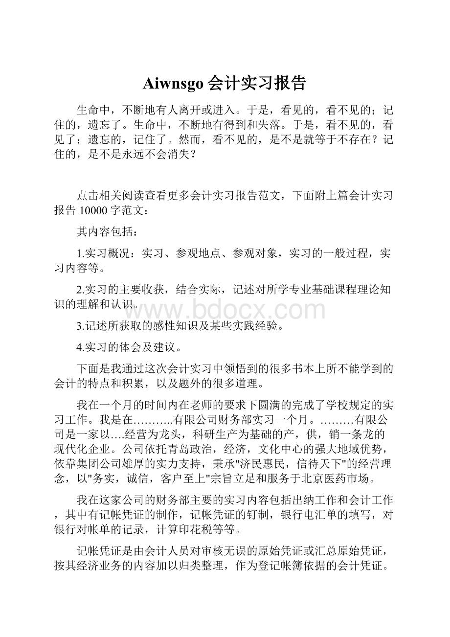 Aiwnsgo会计实习报告.docx_第1页