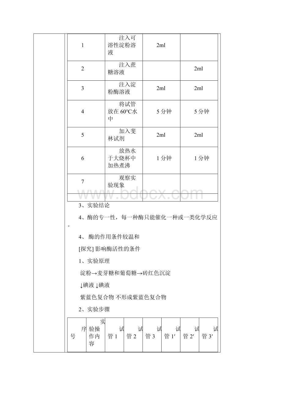 第五章细胞的能量供应和利用.docx_第3页