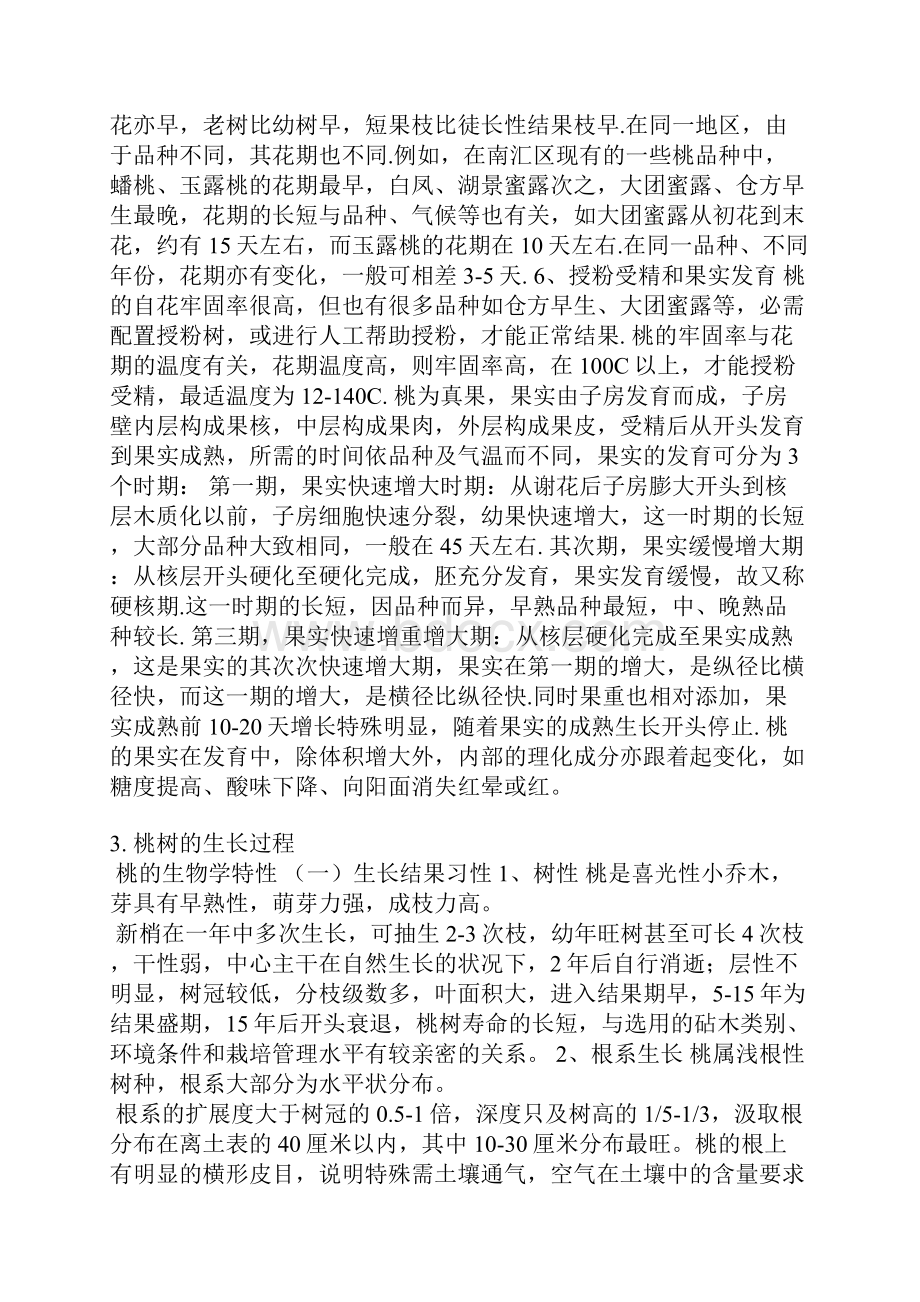 简短桃子的生长过程.docx_第3页