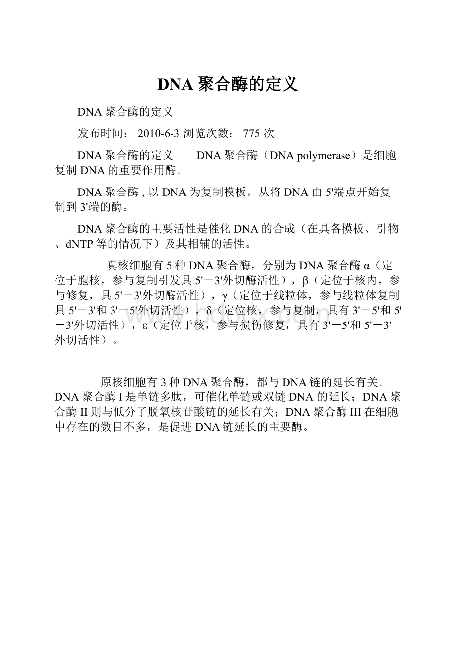 DNA聚合酶的定义.docx