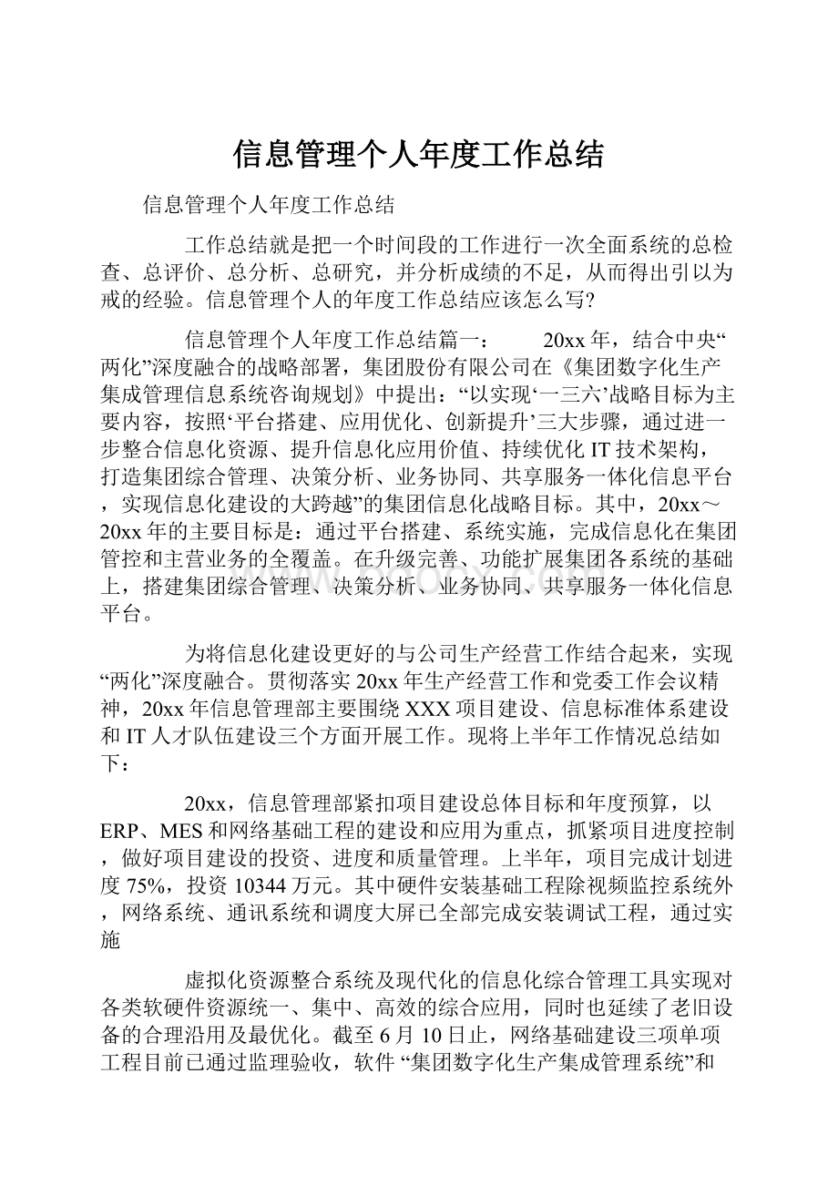 信息管理个人年度工作总结.docx