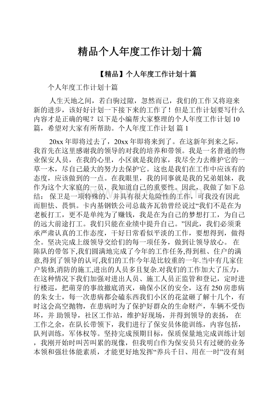 精品个人年度工作计划十篇.docx_第1页