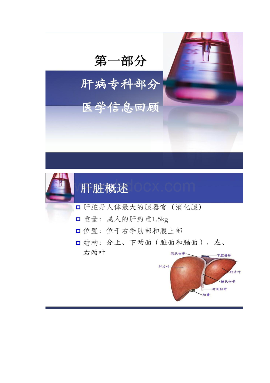 二氯醋酸二异丙胺讲解.docx_第2页