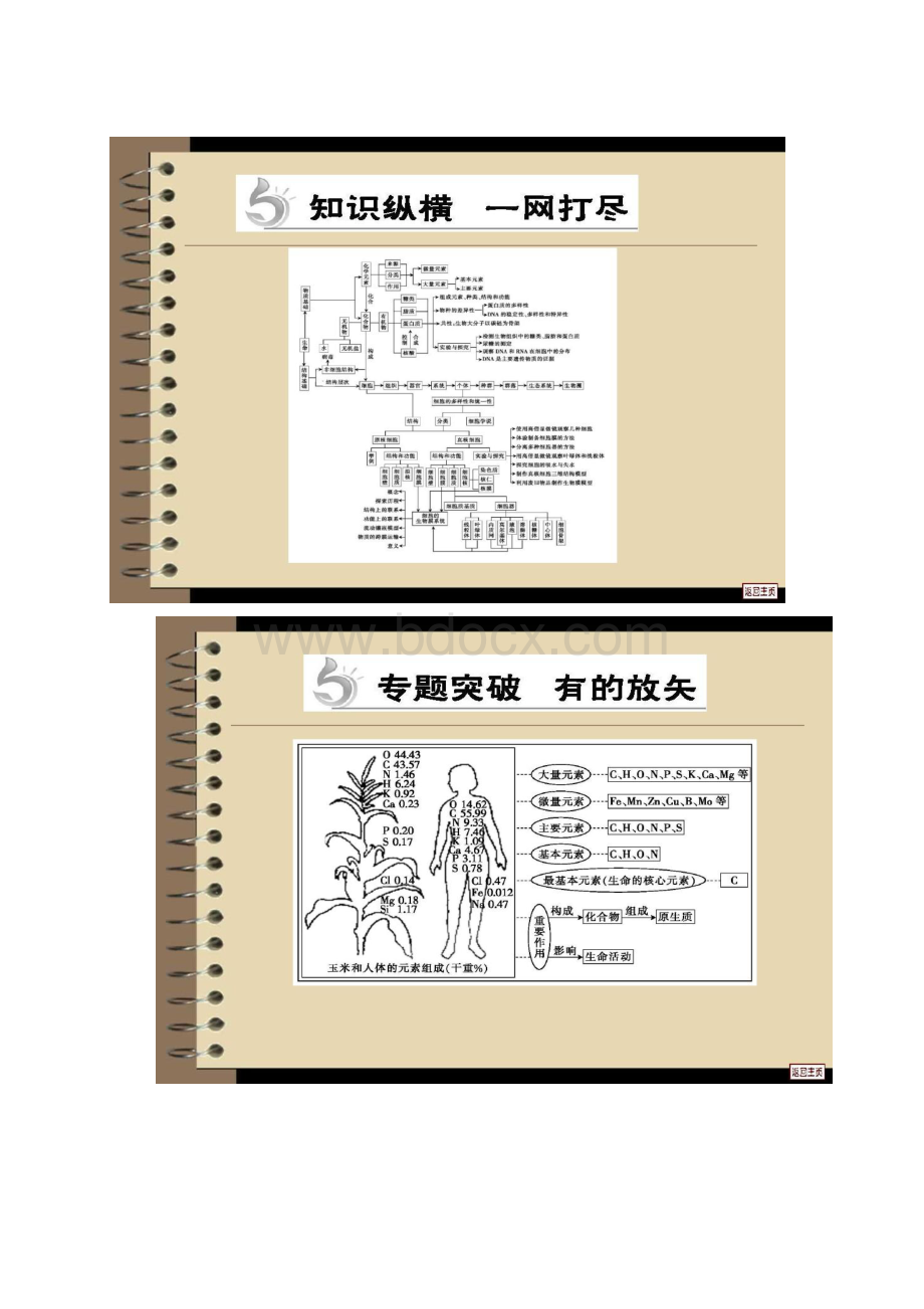 届高三生物二轮复习课件第1专题生命的物质精.docx_第2页