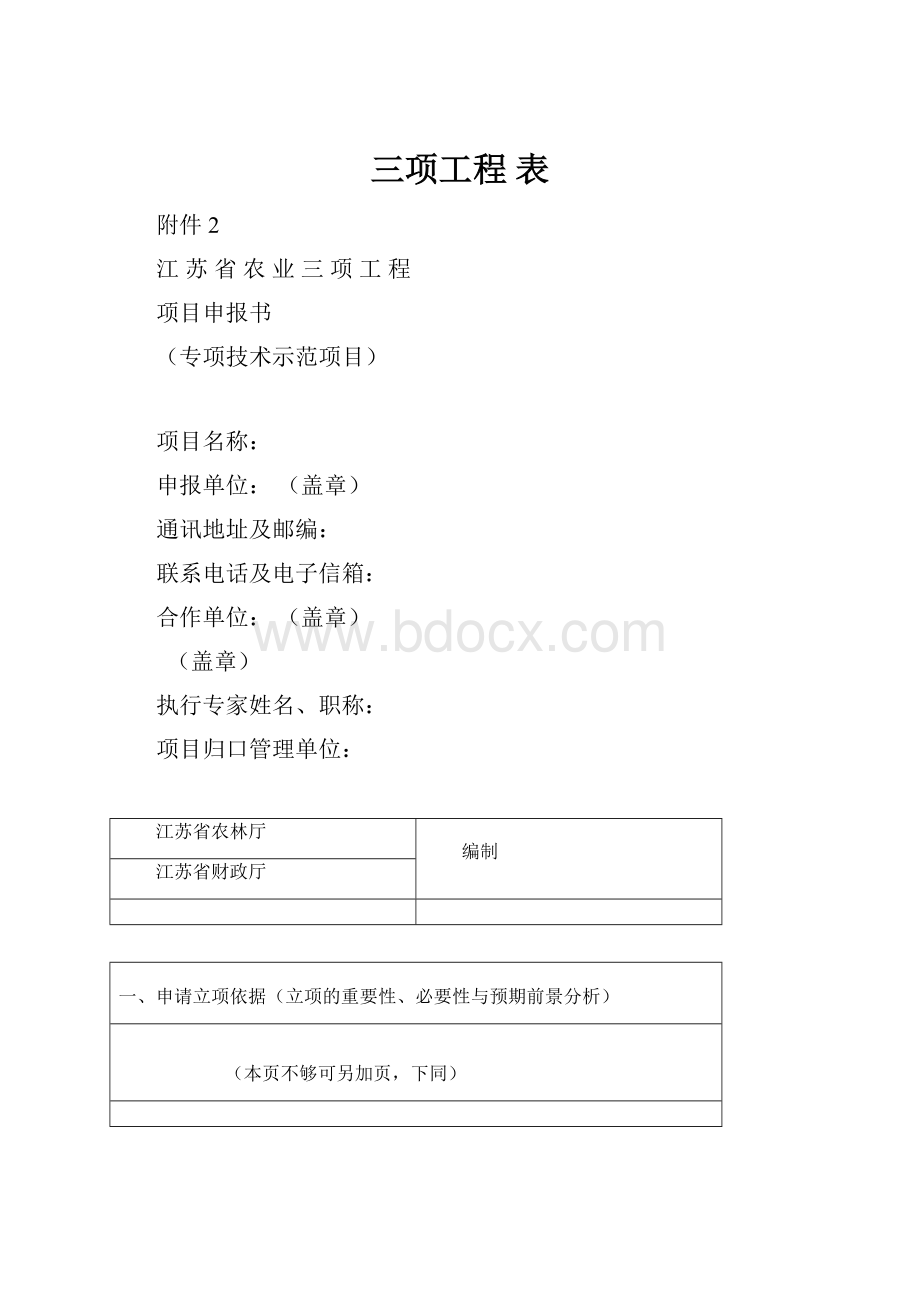 三项工程 表.docx