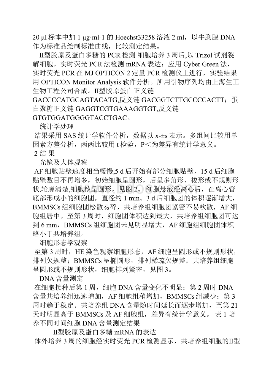 兔纤维环细胞和骨髓间充质干细胞共培养的初步研究.docx_第3页