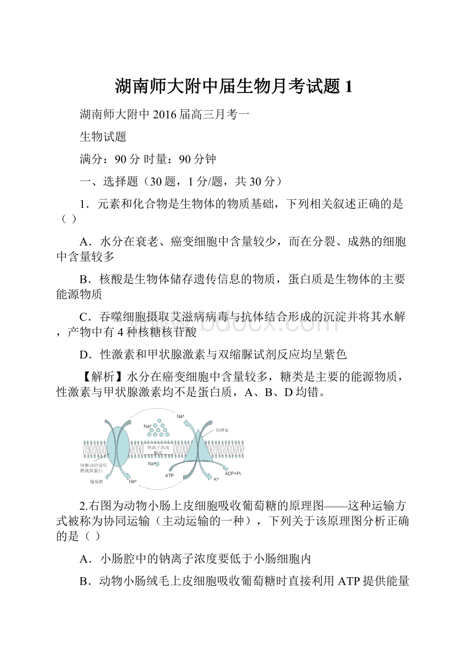 湖南师大附中届生物月考试题1.docx_第1页