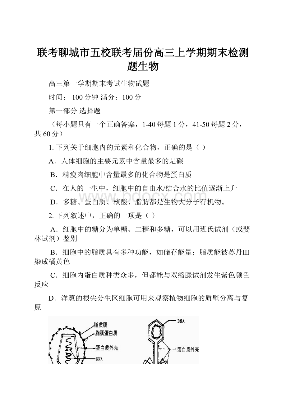 联考聊城市五校联考届份高三上学期期末检测题生物Word格式文档下载.docx_第1页