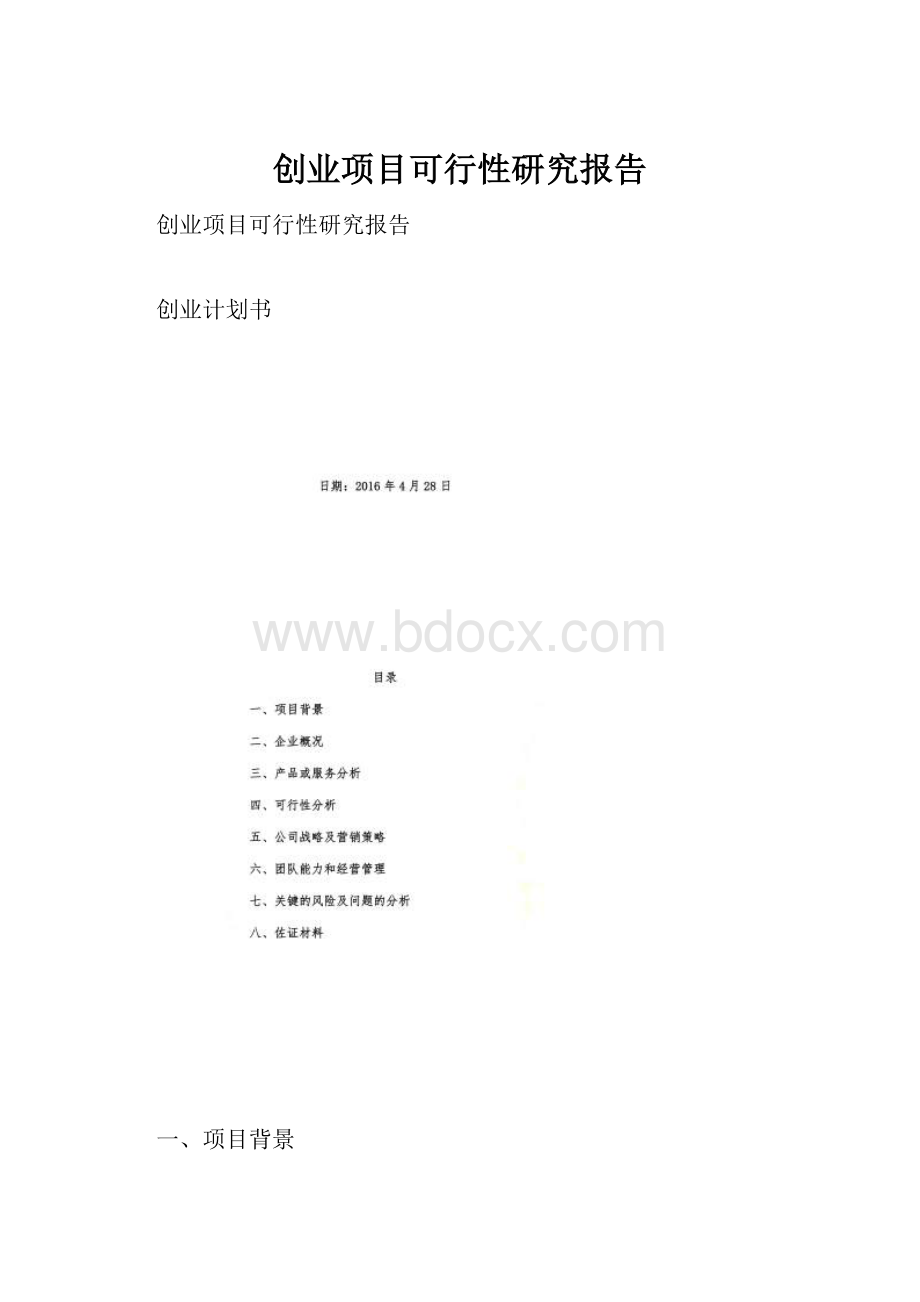 创业项目可行性研究报告.docx_第1页