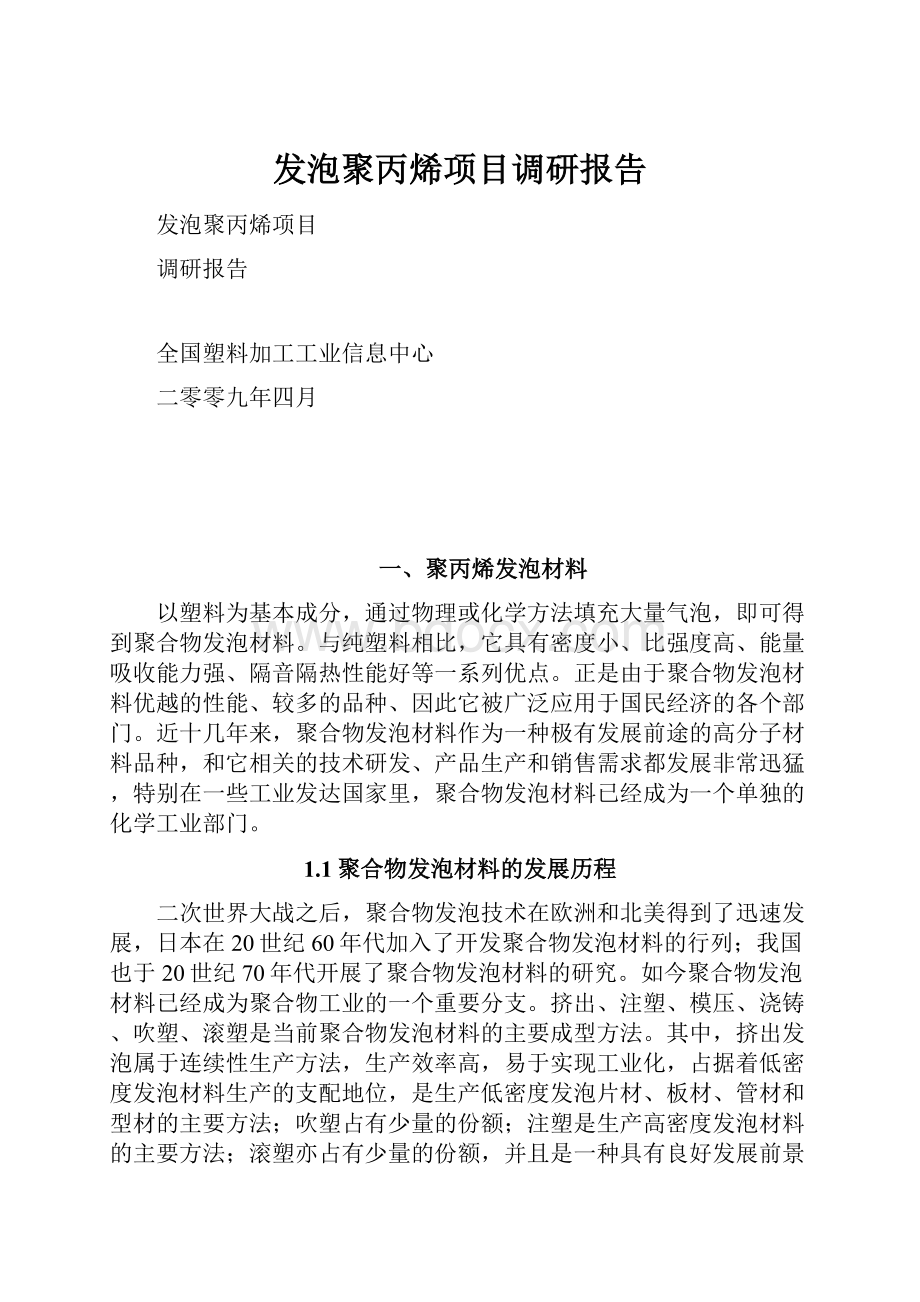 发泡聚丙烯项目调研报告.docx