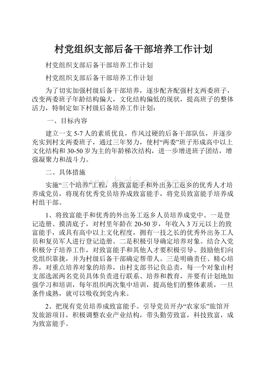 村党组织支部后备干部培养工作计划.docx